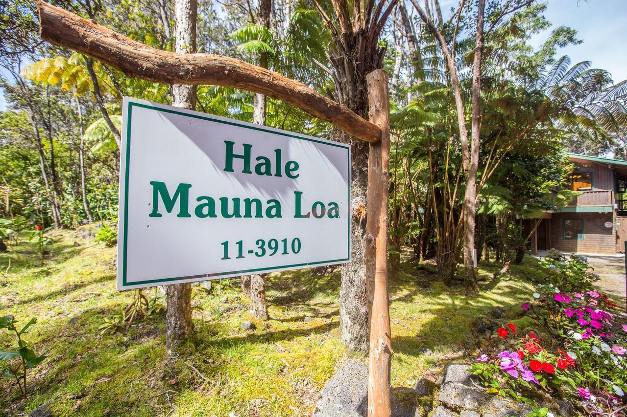 וולקנו Hale Mauna Loa Upper Level With Shared Hot Tub מראה חיצוני תמונה
